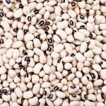White Beans — Small Sokoto