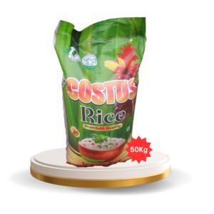 Costus Rice