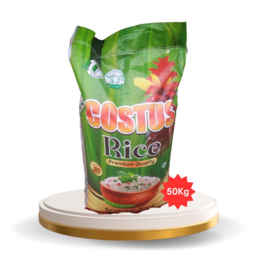 Costus